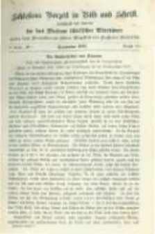 Schlesiens Vorzeit in Bild und Schrift: Zeitschrift des Vereins für das Museum schlesischer Altertümer. Band 5 No.7 Bericht 80