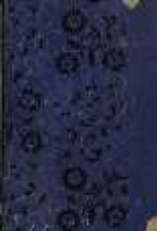 Andacht zum. hl. Johann von Nepomuk für fromme Herzen