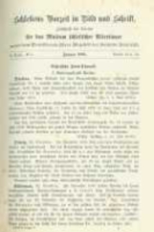 Schlesiens Vorzeit in Bild und Schrift: Zeitschrift des Vereins für das Museum schlesischer Altertümer. Band 5 No.5 Bericht 75-76