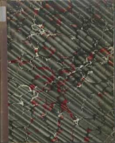 Wykopalisko pawłowickie = Die Ausgrabung von Pawlowice