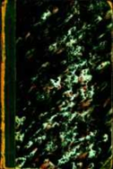 Geschichte Maria Theresia's. Bd.3 Maria Theresia's erste Regierungsjahre, 1745-1748