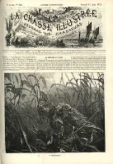 La Chasse Illustrée 1872 Nr24