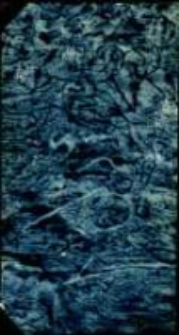 Conférences théologiques et spirituelles sur les grandeurs de Jésus-Christ. T.1