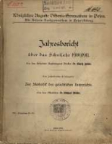 Jahresbericht über das Schuljahr ...