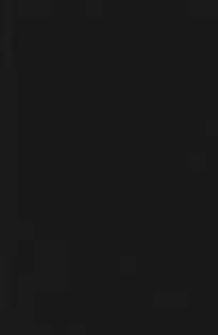 Walig&oacute;ra: powieść historyczna z czas&oacute;w Leszka Białego.T.3