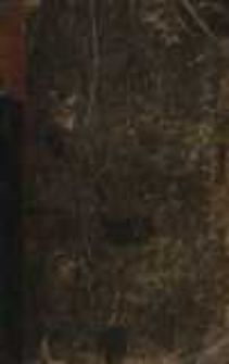 Duch i krew : kilka zarysów z życia towarzyskiego. T.1-3