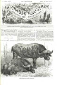 La Chasse Illustrée 1873 Nr29