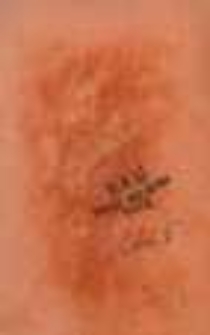 Annales romantiques: recueil de morceaux choisis de littérature contemporaine