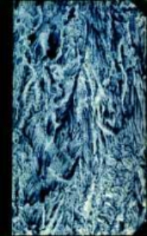 La Valachie et la Moldavie