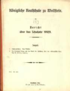 Bericht über das Schuljahr ...