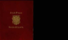 Voranschlag für die Einnahmen und Ausgaben der Stadtgemeinde Posen : in dem Verwaltungsjahre... R. 1909/1910
