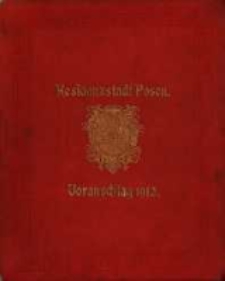 Voranschlag für die Einnahmen und Ausgaben der Residenzstadt Posen : in dem Verwaltungsjahre... R. 1912=1912/1913