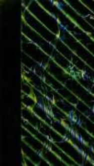 Souvenirs du baron de Barante: de l'Académie française: 1782-1866. T.2