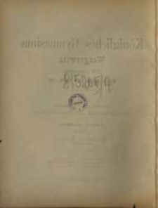 17, Schuljahr 1888-89 (1889)