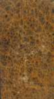 Helwienki czyli Listy prowincyalno filozoficzne. T.3 dzieło z fr. edycyi amszterdamskiey roku 1785 tł. w roku 1817 [przez Karola Surowieckiego]