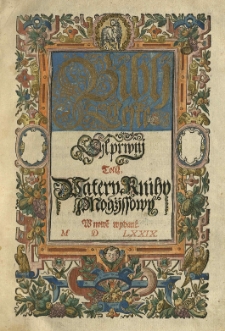 Bibli české [...]. , Dil 1 , [...] totiż patery knihy Mogžissowy