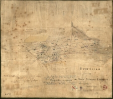 Dworzisko mit den Weide Abfindungs Ländereien im Schrimmer Kreise. Nach der vorhandenen Charte vom Jahre 1830 angefertigt im [...] 1841 von Ziehlke.