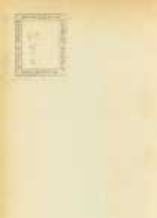 Zehn Jahre österreichischer Politik 1801-1810