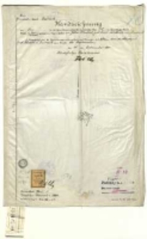 Kreis Schrimm, Gemeinde - bezirk Bnin. Handzeichnung... eingetragen Liegenschaften der Julia Schubert [...]. Ausgefertigt [...] Flick [...].