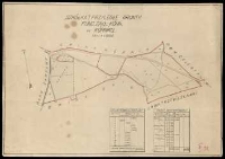Szkółka i przyległe grunty. Fund[acja] "Zakł[ady] Kórn[ickie]" w Kórniku.