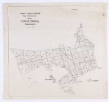 Fundacja "Zakłady Kórnickie". Mapa drzeworytowa rewiru Czołowo, Bielawy, Mieczewo [...].