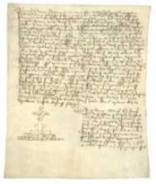 [Ustanowienie Mikołaja Pretczila, prokuratora konsystorza wrocławskiego, pełnomocnikiem Jana Messchelerera altarzysty kościoła parafialnego w Szprotawie].