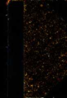 Philippe V et la cour de France. T.1 Philippe V et Louis XIV