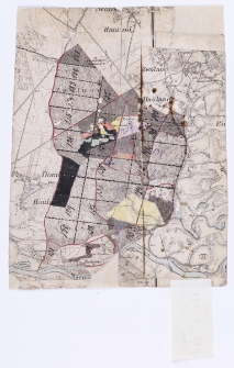 [Wycinek mapy katastralnej obejmujący lasy Zwoli ręcznie kolorowany.]