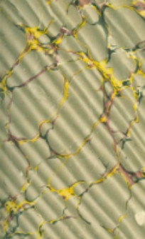 Voyage autour du monde: Java, Siam, Canton