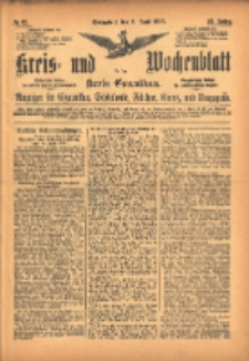 Kreis- und Wochenblatt für den Kreis Czarnikau: Anzeiger für Czarnikau, Schönlanke, Filehne, Kreuz, und Umgegend. 1895.06.08 Jg.43 Nr65