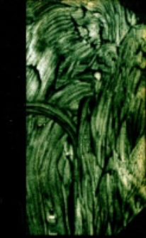 Manuel Biblique : ou, Cours d'écriture Sainte a l'usage des séminaires. Ancien Testament T.1