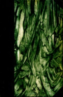 Manuel Biblique : ou, Cours d'écriture Sainte a l'usage des séminaires. Ancien Testament T.2