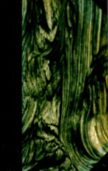 Manuel Biblique : ou, Cours d'écriture Sainte a l'usage des séminaires. Nouveau Testament T.3