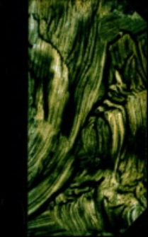 Manuel Biblique : ou, Cours d'écriture Sainte a l'usage des séminaires. Nouveau Testament T.4