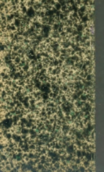 Das Kriegswesen in Monarchien: ein Handbuch f&uuml;r Offiziere ; aus den hinterlassenen Papieren eines deutschen Veteranen