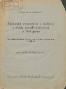 Szczątki zwierzęce i ludzkie z osady przedhistorycznej w Biskupinie/ Les restes d'animaux trouvés dans la station préhistorique de Biskupin.
