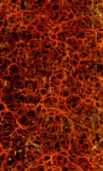 Allgemeines Deutsches Kochbuch für jede Haushaltung: oder Lehrbuch der Koch- und Backkunst ... nebst einem nach Jahreszeiten eingerichteten Küchenzettelbuche