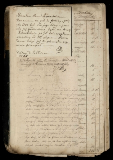 Pałac Działyńskich w Poznaniu. Korespondencja, dowody rachunkowe wydatków etc., 1865-1890