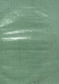 Dissertatio inauguralis medica De radice Senega