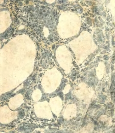 Le Nouvel astrologue parisien, ou le Mathieu Laensbergh réformé, à l'usage des habitans de la France [calendrier]. 1822