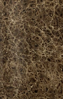 Vollst&auml;ndiges Register &uuml;ber die bisher erschienenen sechs und zwanzig B&auml;nde...