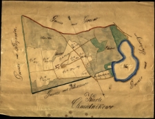 Karte Chmielnikowo [przekopiowany plan z przedstawieniem zalesienia majątku]