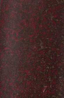 Justus Ludwig Decius. Ein Deutscher Kaufmann und polnischer Staatsmann (1485-1545)