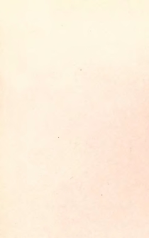 Rapport de la Commission chargée d'examiner une culture de betteraves che F. Desprez, à Cappelle (Nord)