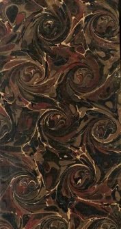 Nouvelle galerie des enfants c&eacute;l&egrave;bres, par Fran&ccedil;ois Tulou. Ouvrage orn&eacute; de gravures... d'apr&egrave;s les dessins de David. Pic de La Mirandole, Michel-Ange, Bayard, Amyot, Newton, Madame Dacier, Vaucanson, Favart, Gr&eacute;try, Sophie Germain, Duchesnois, Ingres, Madame Desbordes-Valmore, Rossini, Alexandre Dumas, Victor Hugo