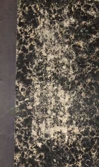 La femme catholique faisant suite aux femmes de l'évangile. T. 1