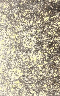 Beitr&auml;ge zu einer Familien-Geschichte der Freiherren von Uslar-Gleichen