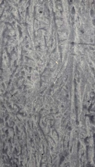 Eos. Organ Polskiego Towarzystwa Filologicznego. 1947 R.42 zeszyt 1-2