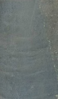 De catarrho et coryza : dissertatio inauguralis medica quam ... pro summis medicina et chirurgia honoribus in Universitate Litteraria Berolinensi legitime impetrandis d. XXV. m. Maji a. MDCCCXXI publice defendet auctor Augustus Paulus Winnicki.