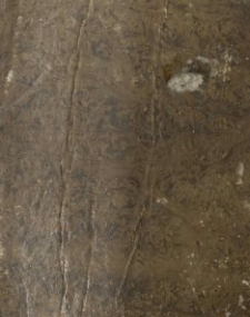 Wiadomość o naukach, nauczycielach, popisach publicznych i uczniach Białostockiego Gymnazium z roku szkolnego 1805 na 1806 przy którey Michał Maciejowski Rektor wszystkich Przyiacioł Szkoł tuteyszych na Popisy Publiczne [...] zaprasza